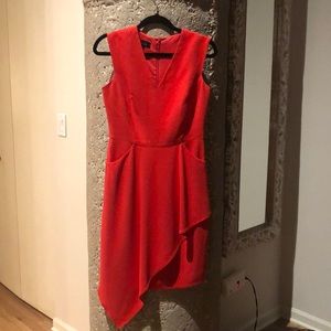 Teri Jon by Rickie Freeman cocktail dress